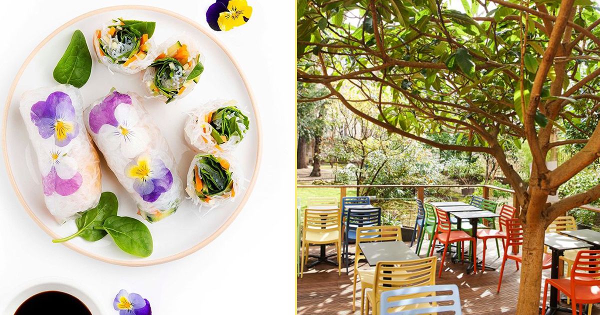 EXKi, la cantine la plus healthy de Paris