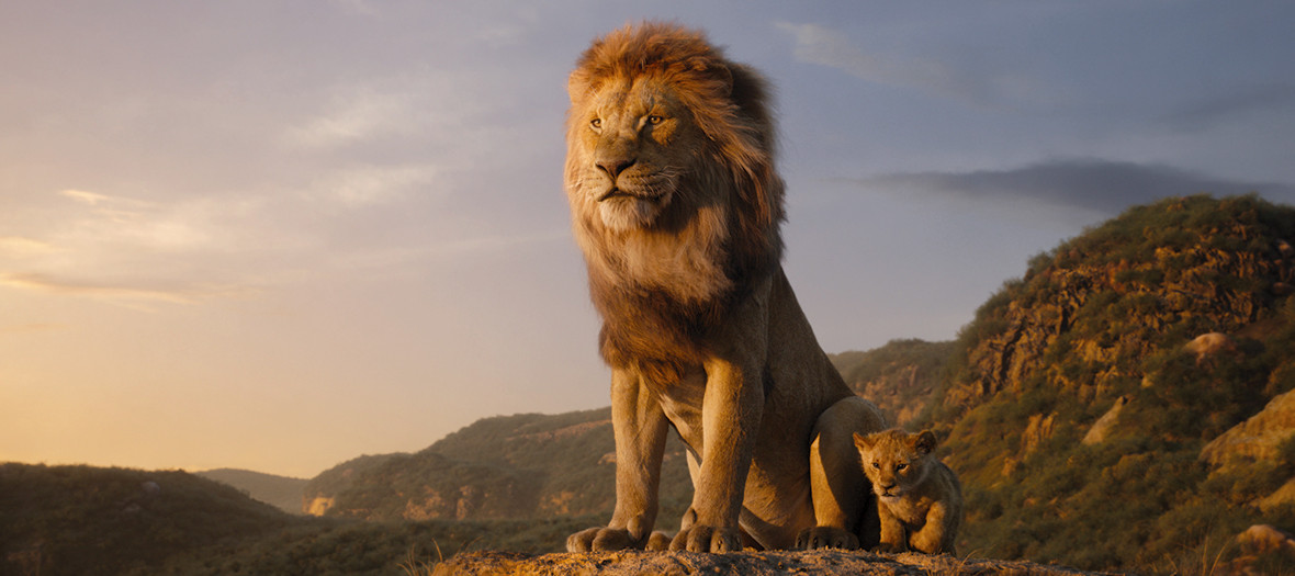 Le Roi Lion Film