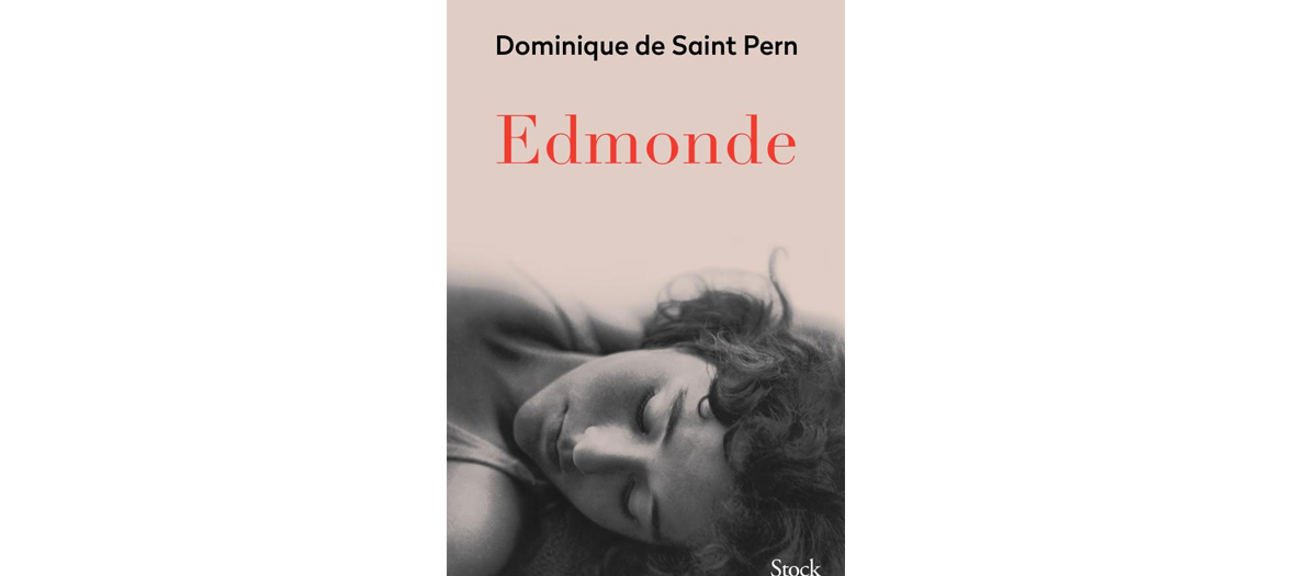 Livre de Dominique de Saint Pern, éditions Stock