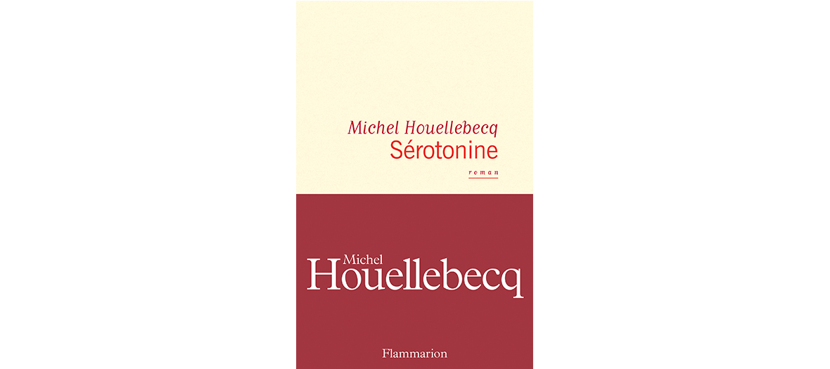 Roman de Michel Houellebecq edition Flammarion