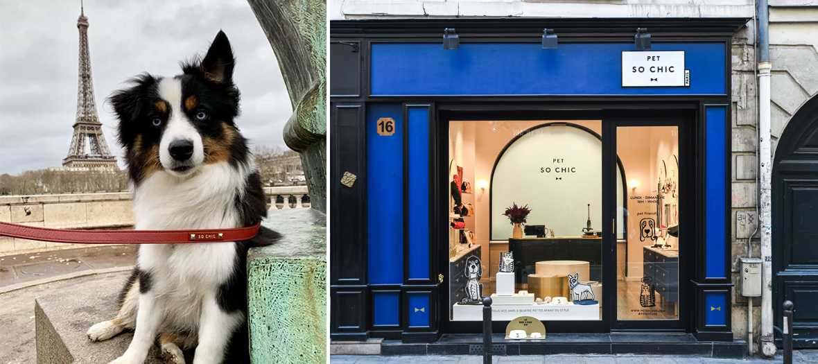 The best boutiques in Paris for your Xmas shopping