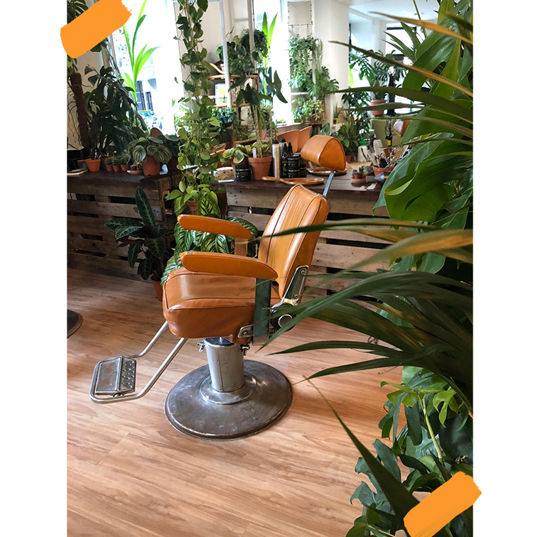 Déco plantes dans un salon de coiffure