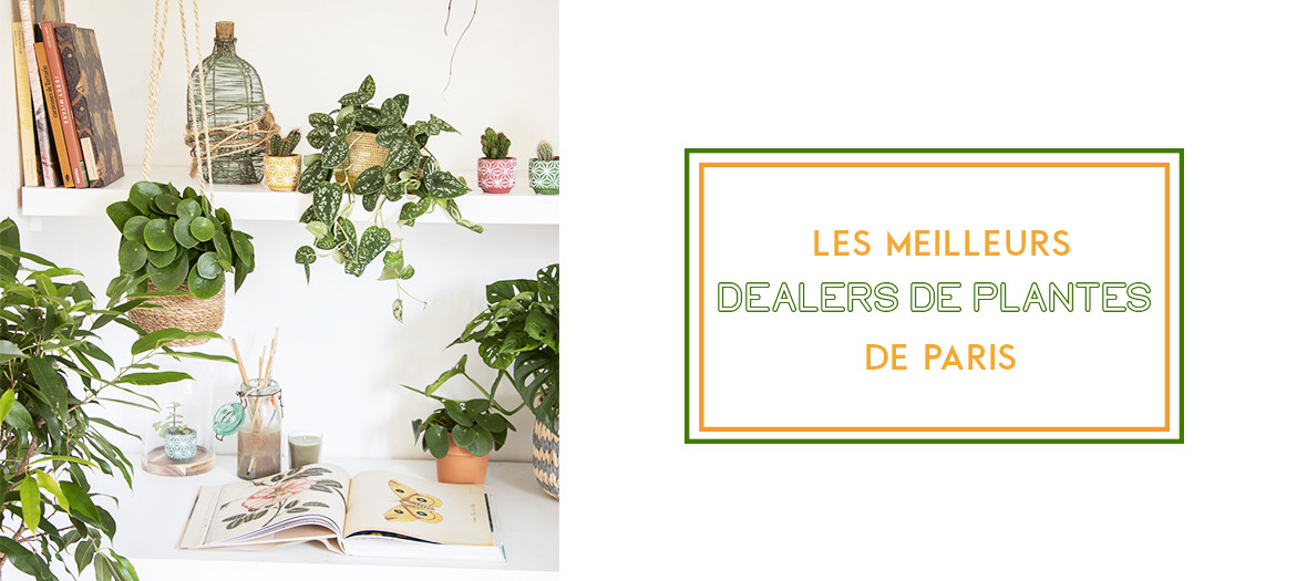 The best plant shop in Paris