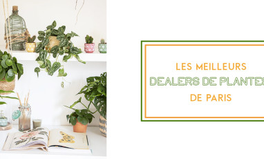 The best plant shop in Paris