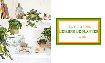 The best plant shop in Paris