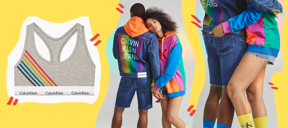 Grey Brassière with the rainbow flag, embroidered denim jacket, hooded sweatshirt multicolored