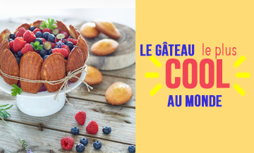 Gateau au madeleines, myrtilles et framboise de Charlotte aux fraises