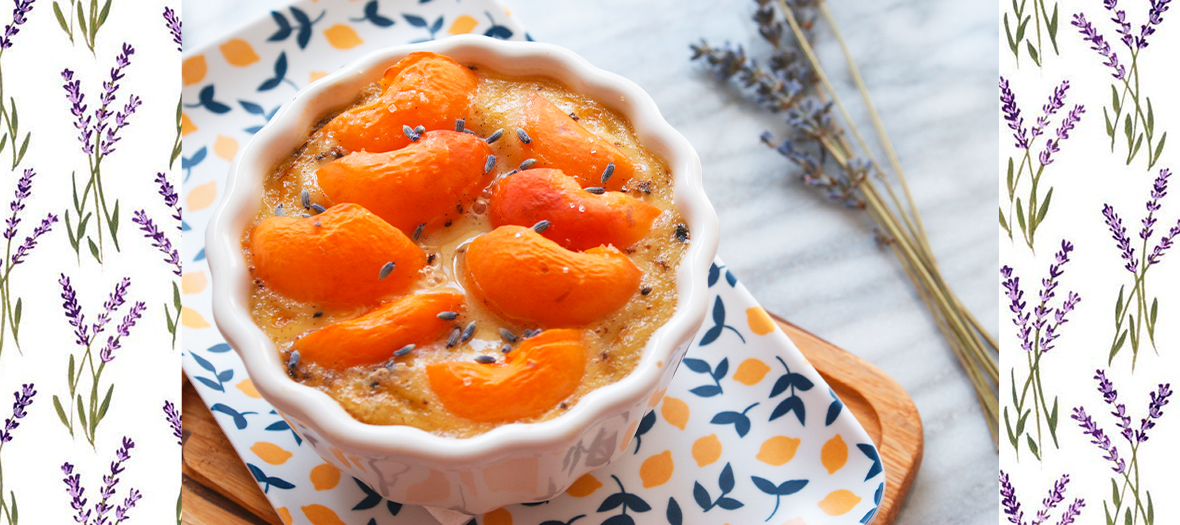 Bol de Gratin d'abricot Lactose Free