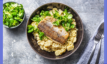 Le Plat de Risotto avec filet de merlu, de basilic, de persil, riz, oignons et fromage vieux