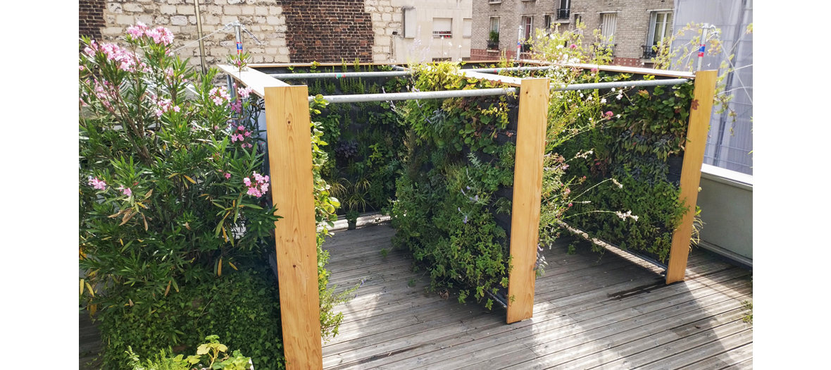 Potager vertical sur un balcon en zone urbaine