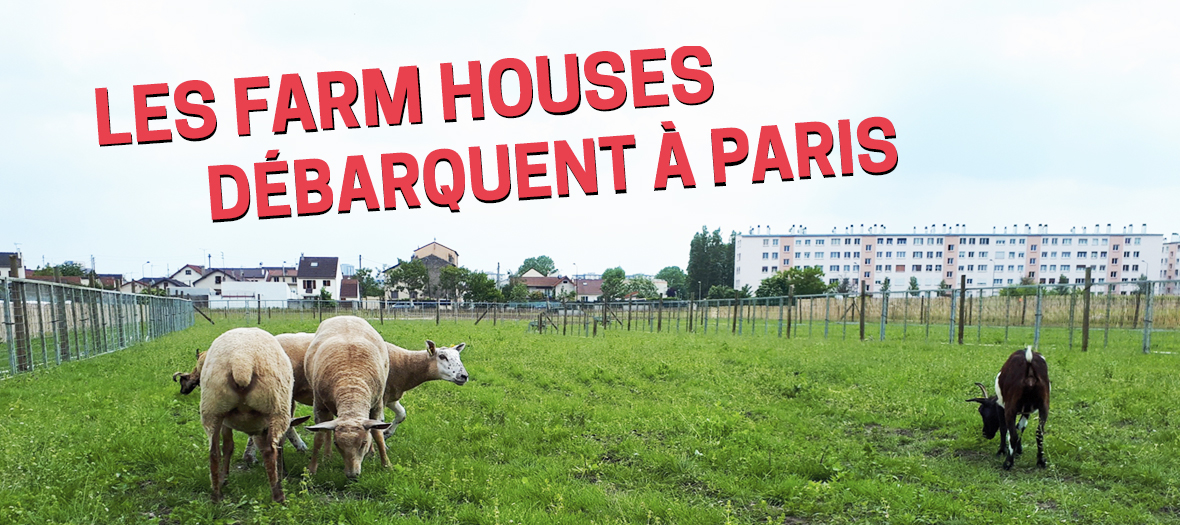 Ferme Urbaine