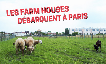 Ferme Urbaine