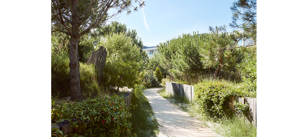 Way towards the hotel