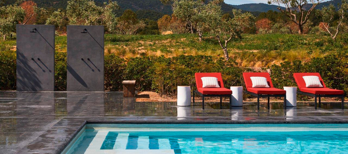 A large pool surrounded by vineyards at the Ultimate Provence hotel