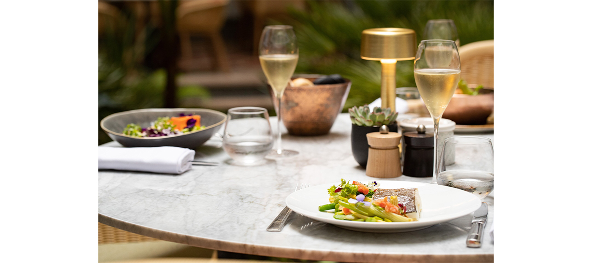 Verres de vins, salade niçoise au deux thons, mi-cuit et mariné aux Princes des Galles