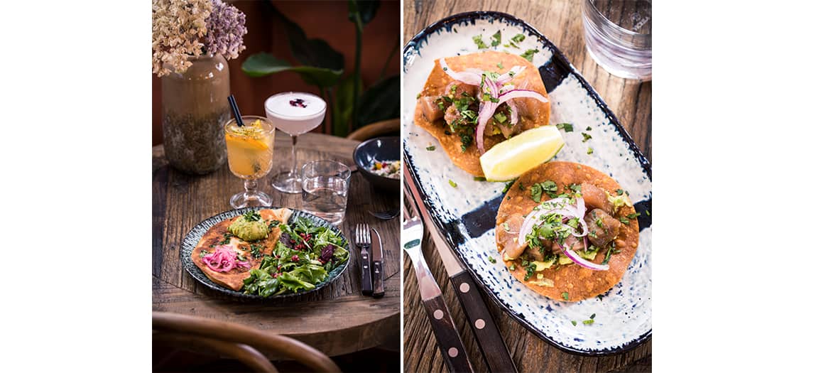 Dish from Mexican restaurant Tigermilk with chicken, coriander, peanut tacos, marinated salmon superbowl, guacamole and ceviche.