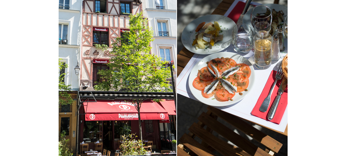 Les plus belles terrasses de Paris où il est possible de réserver