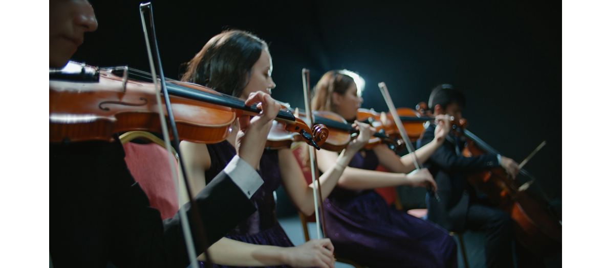 Violons dans l'orchestre Philharmonie