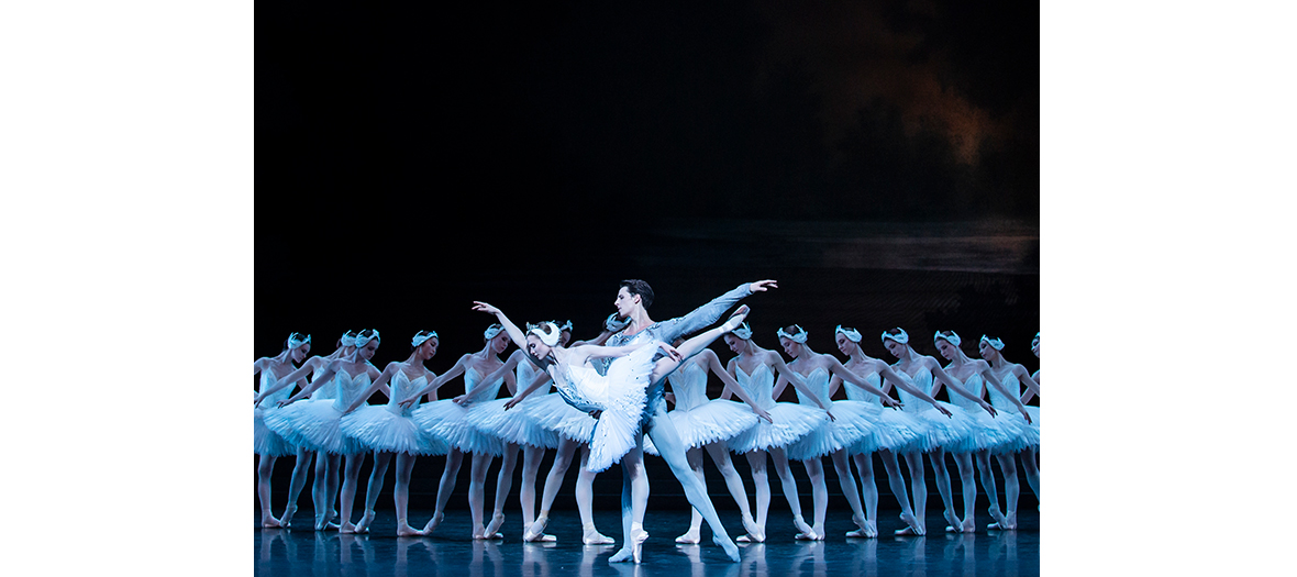 ballet Le Lac des cygnes en streaming