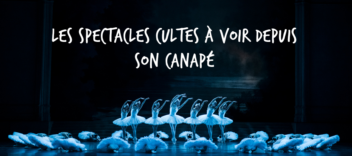 Spectacles En Lignes avec Fary, Jérémy Ferrari, le lac des Cygnes, la Parade