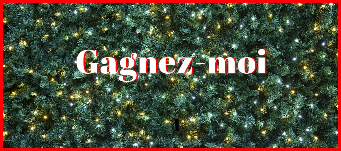 Comment se faire livrer un sapin chez soi?