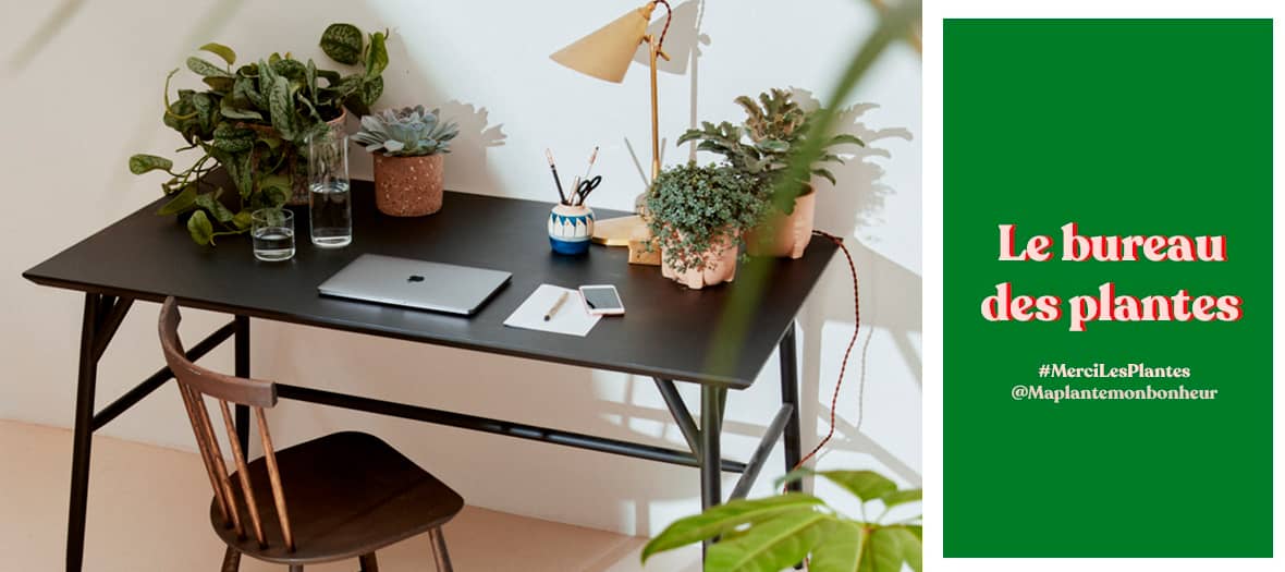 Repenser son coin bureau chez soi avec du Monstera, du calathea et du cactus de chez MercilesPlantes