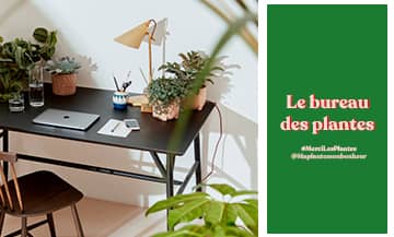 Repenser son coin bureau chez soi avec du Monstera, du calathea et du cactus de chez MercilesPlantes