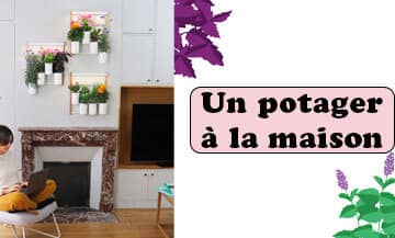 Potager Appartement