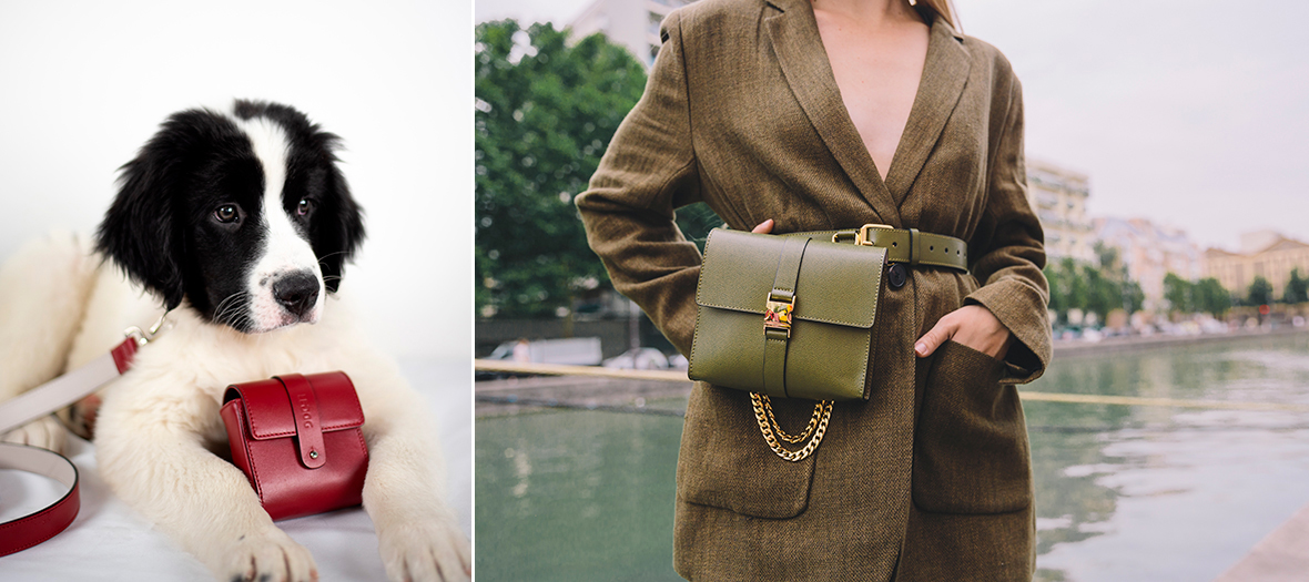 Collier avec pochettes pour chiens et les sacs à main assortis à leurs maitresses