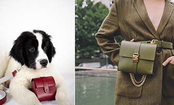 Collier avec pochettes pour chiens et les sacs à main assortis à leurs maitresses