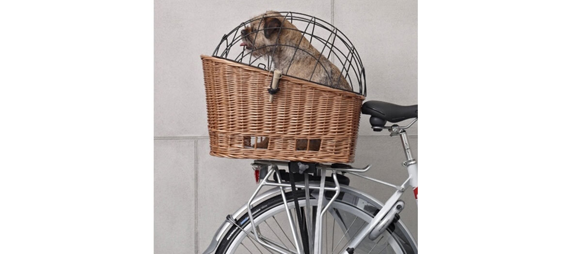 Panier arrière en osier pour chien, Basil 