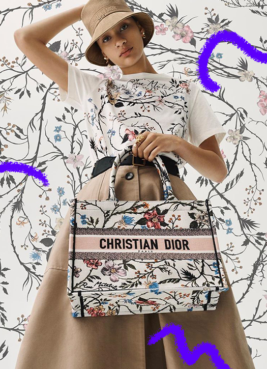Christian clearance dior caba