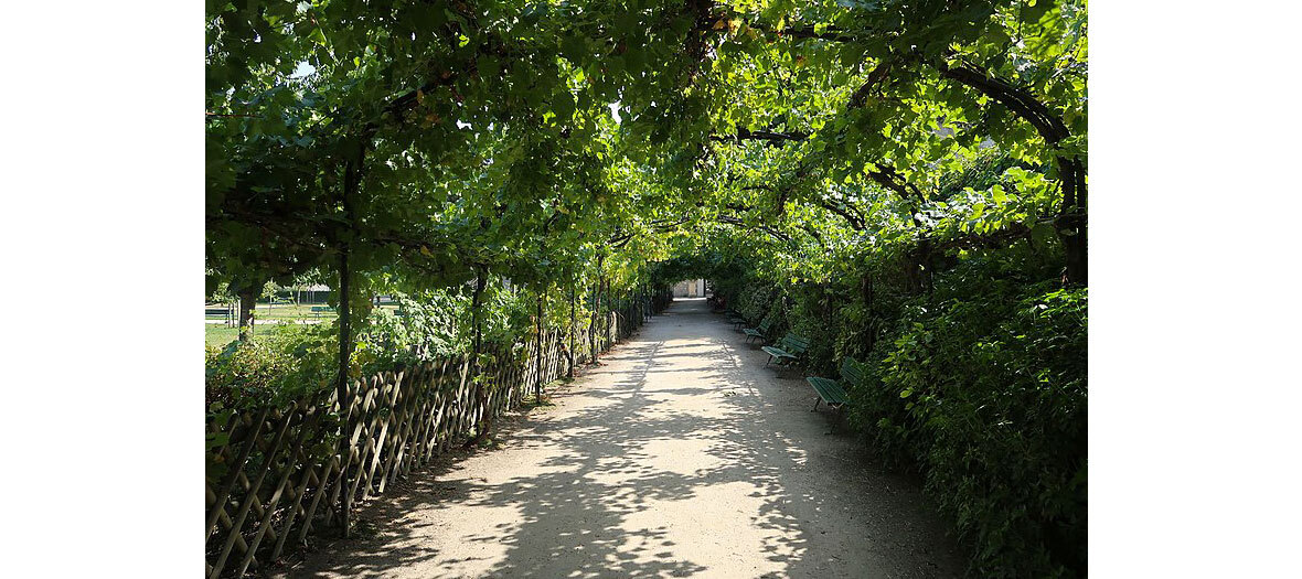 Les Jardins Catherine-Labouré