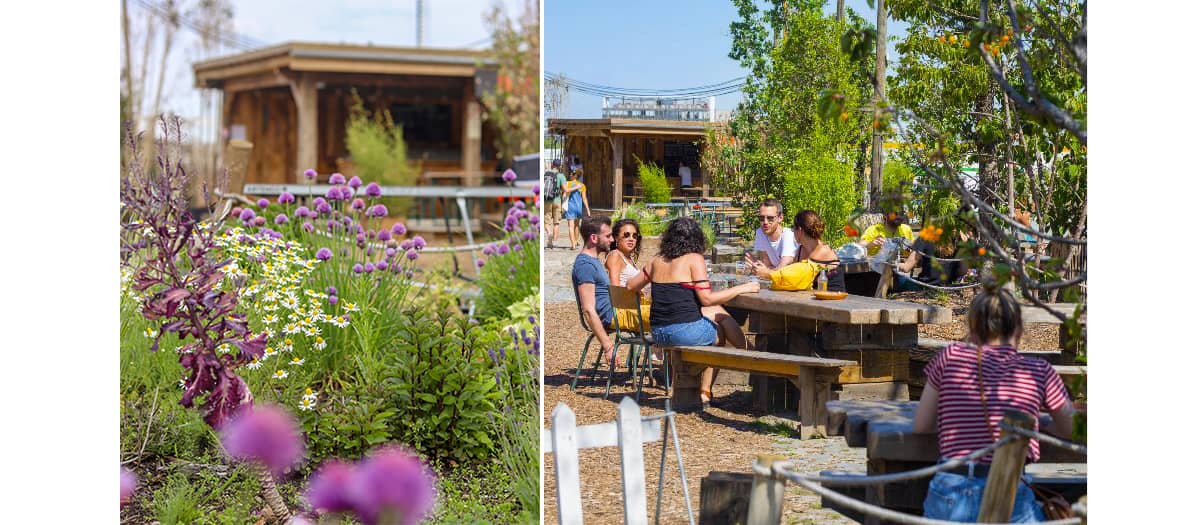 Ateliers de jardinage et d’agriculture urbaine dans le potager et la serre à la Cité Fertile à la vilette à Paris