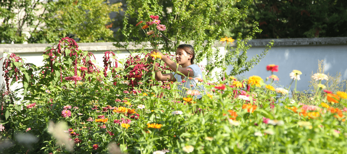 Le champs de fleurs plein air de Masami Charlotte Lavault