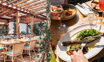 Décoration du rooftop et Plat de crumble aux pommes grillées, petites pommes de terre rôties, fricassée de champignons de la Brasserie Auteuil 