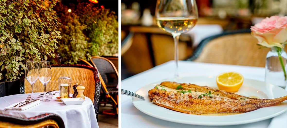 La sole meunière au restaurant Le Basilic à Paris