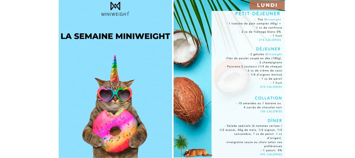 Le programme nutrition et minceur miniweight facile à réaliser