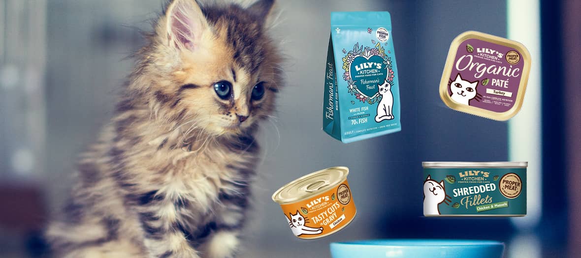 La gamme Lily's kitchen pour chat