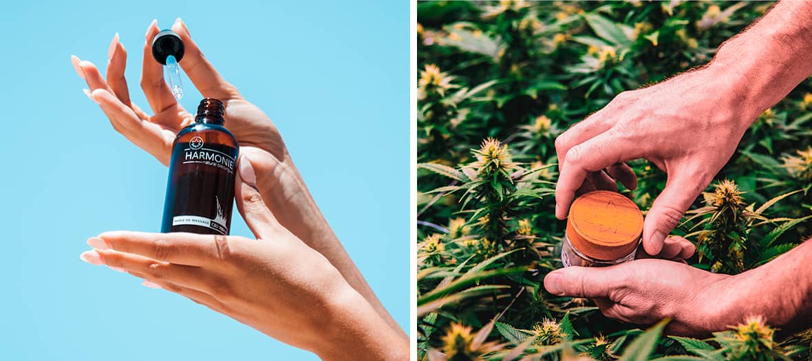 Les produits à base de CBD par High society