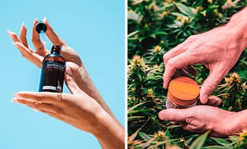 Les produits à base de CBD par High society