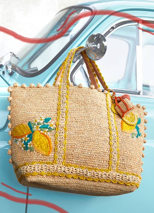 vanessa bruno panier