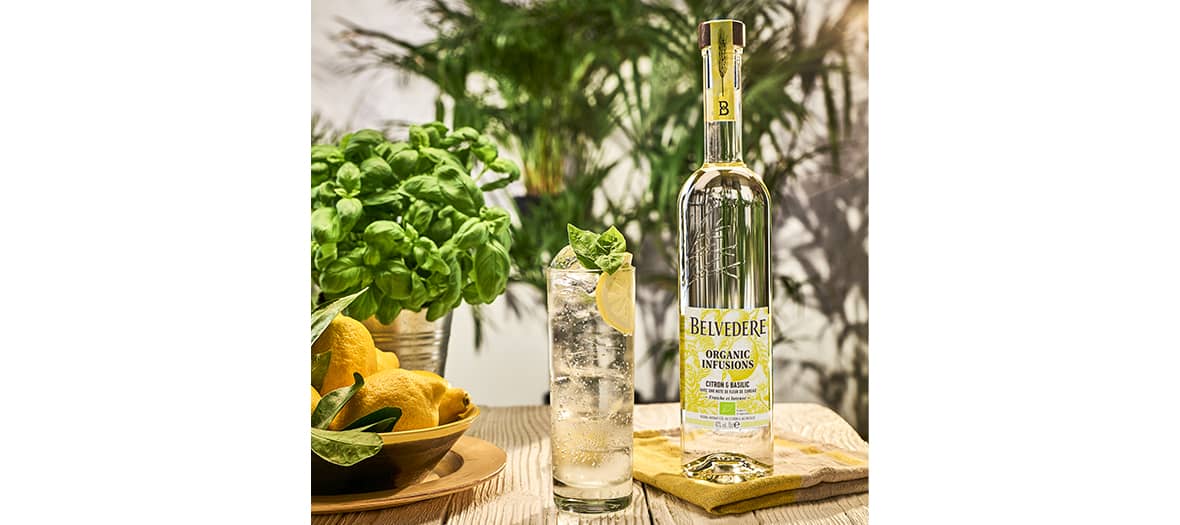 Un cocktail frais associé à des notes de citron, de basilic et de fleur de sureau. Les herbes et les fruits s’associent avec les saveurs du seigle polonais distillé au feu pour créer un cocktail, très léger et subtil.