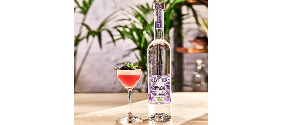 Un cocktail frais mettant en avant les notes de baies et d'herbes fraîches de Belvedere Organic Infusions Mûre et Citronnelle, avec une légère note d'agrumes.