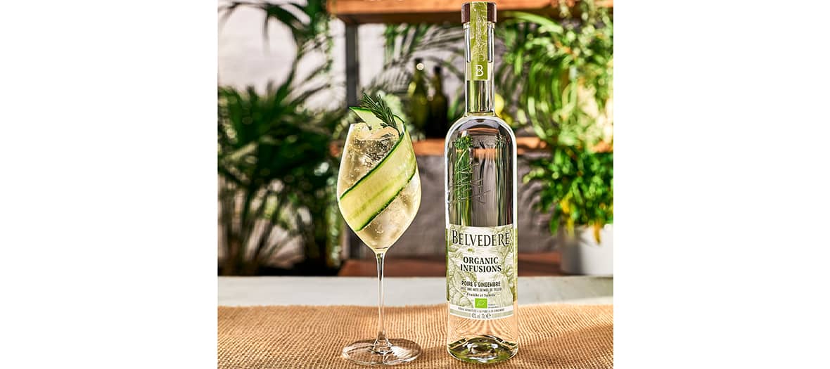 Belvedere Poire et Gingembre apporte des notes de fruits verts frais, complétées par de l’agrume et du gingembre épicé.