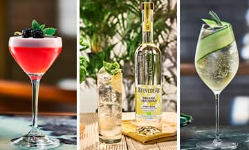 les meilleurs cocktails belvedere