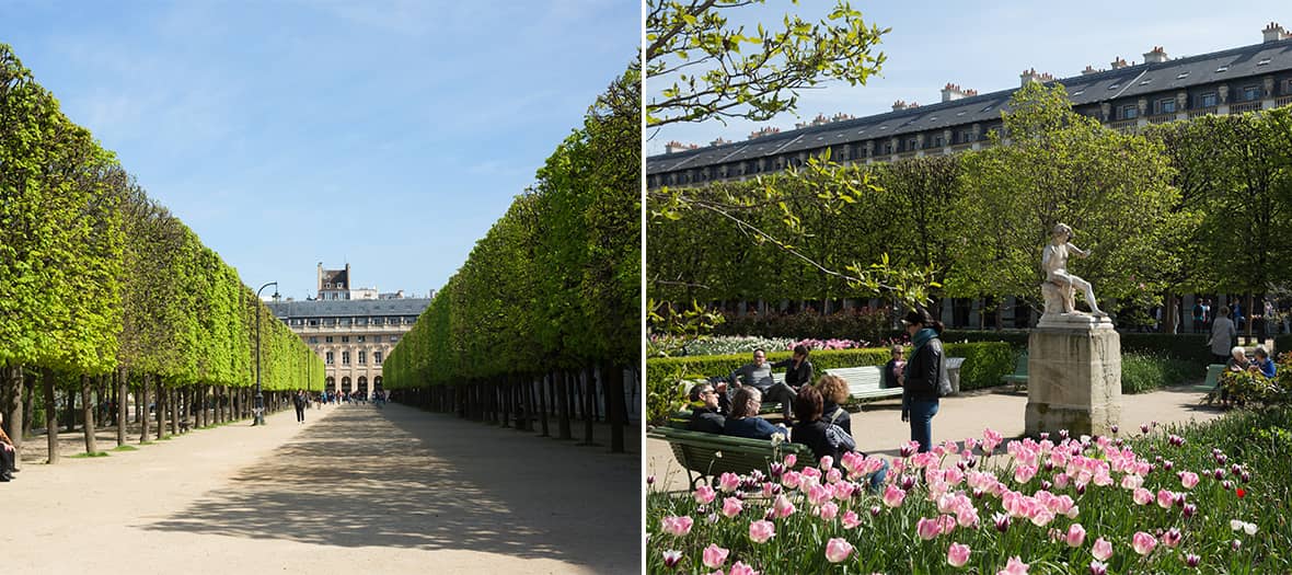 The Palais Royal Garden in Paris