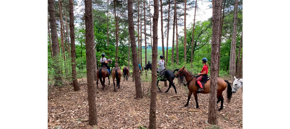 Se Faire un Balade à Cheval dans le domaine de Chantilly