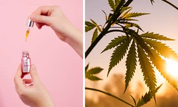 La cure de Chanvre Etre Cbd