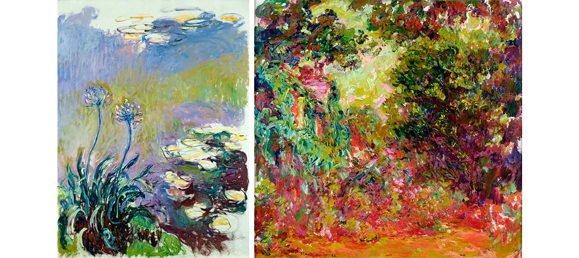 Claude Monet - Joan Mitchell